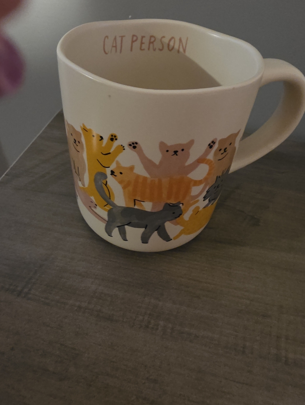 Cat Person Mug